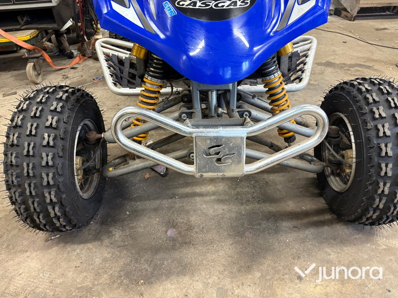 GasGas Wild HP 450