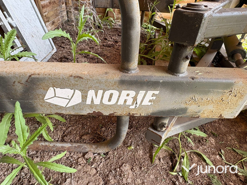 Rundbalsgrip Norje