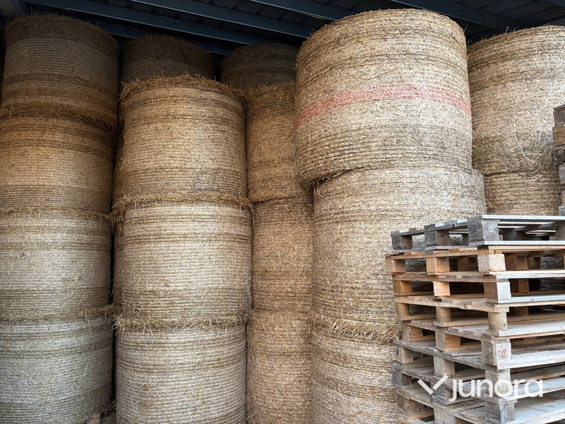 Ströbäddshalm - 40st