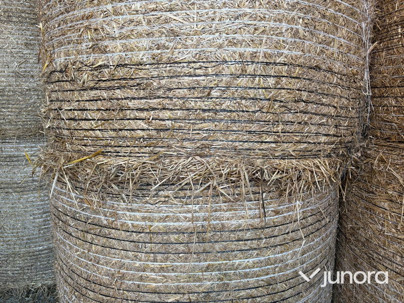 Ströbäddshalm - 40st