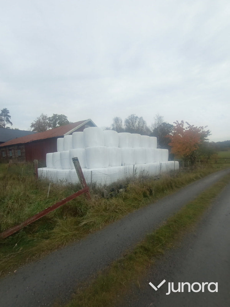 Höensilage