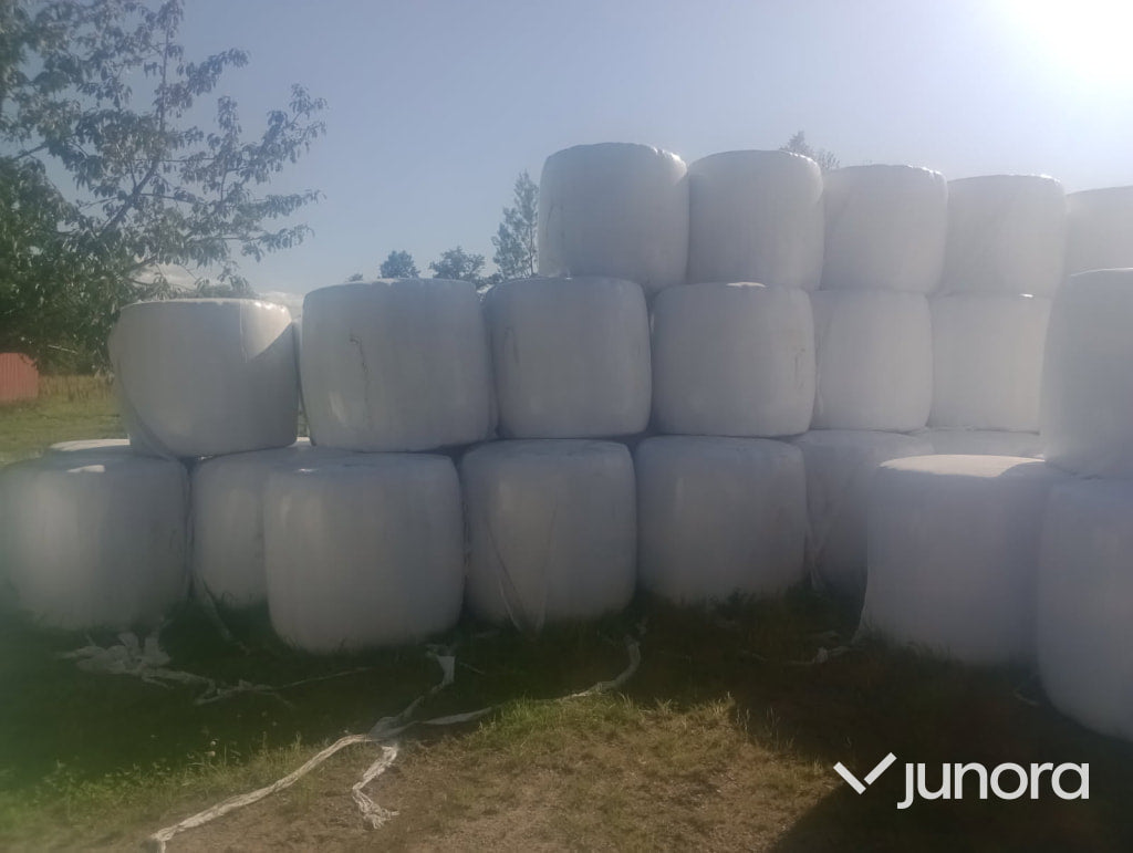 Höensilage