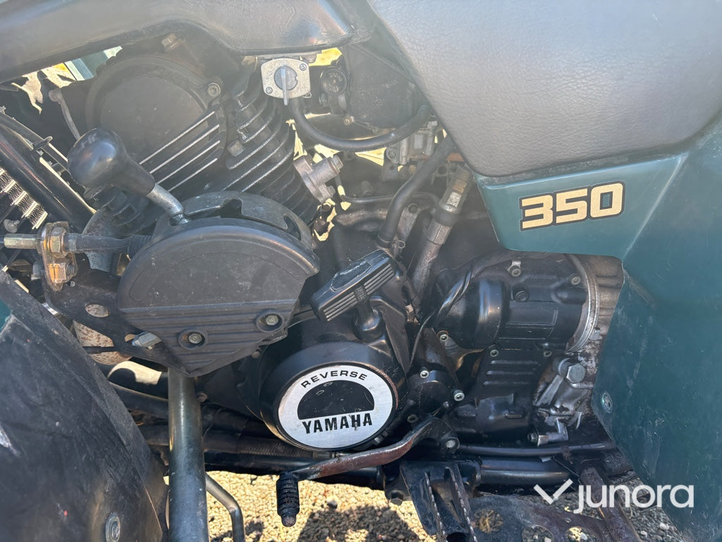 ATV - Yamaha, Big Bear, 350 cc
