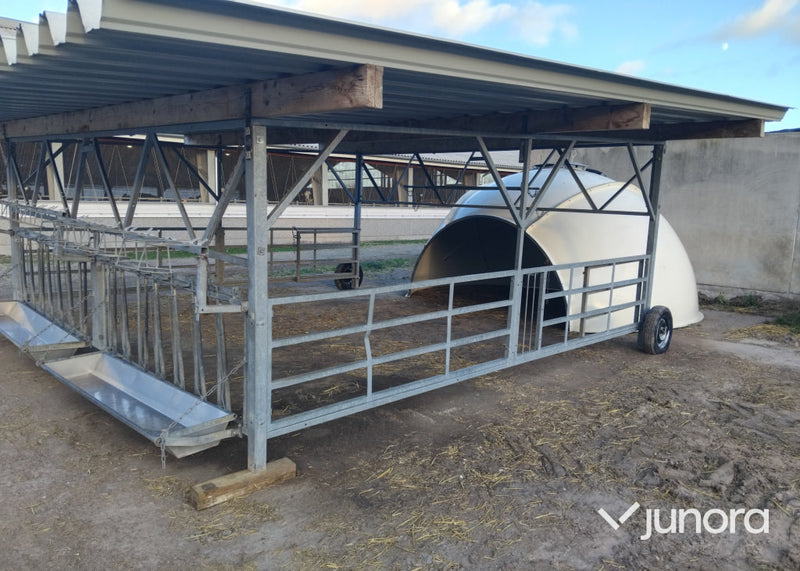 Kalv igloo - Med veranda