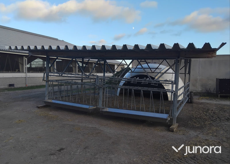 Kalv igloo - Med veranda