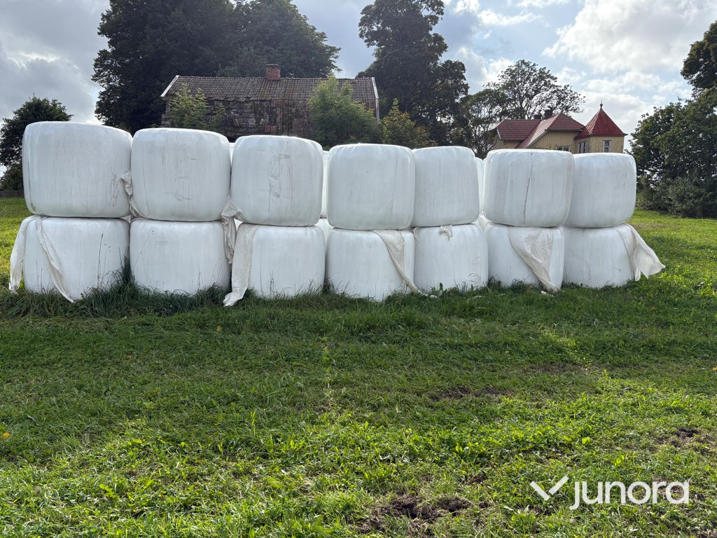 Höensilage 2024