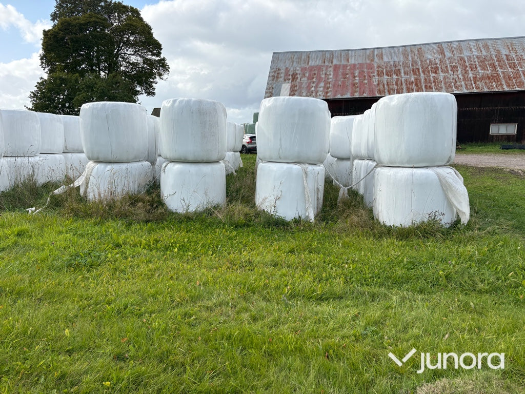 Höensilage 2024