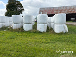 Höensilage 2024