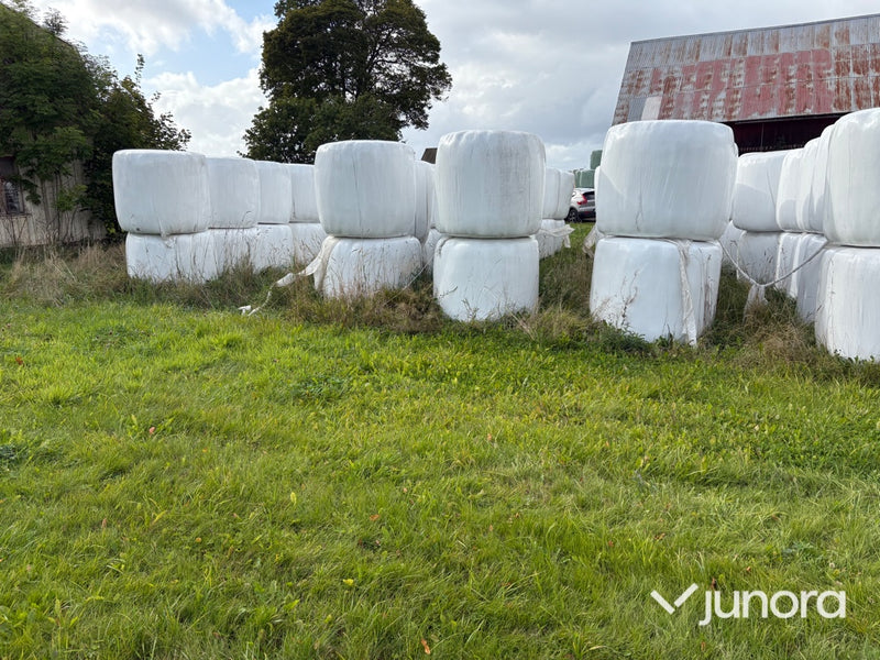 Höensilage 2024
