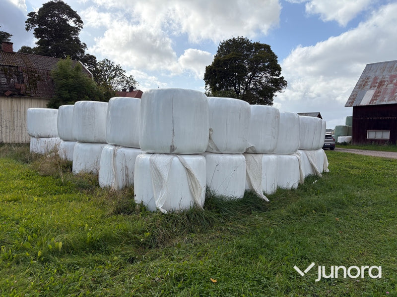 Höensilage 2024