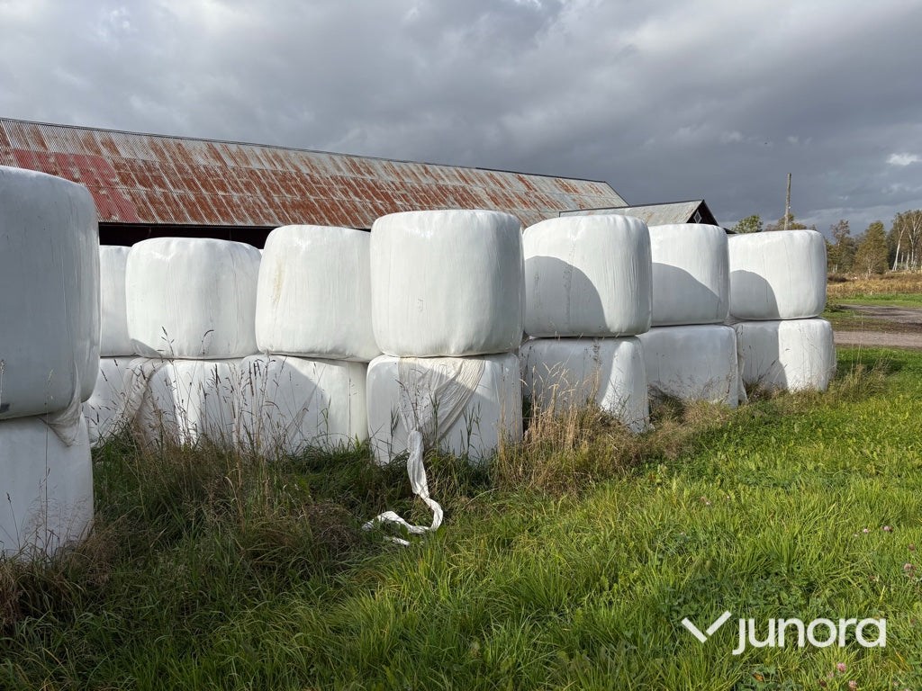 Höensilage 2024