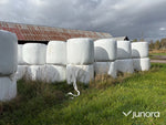 Höensilage 2024