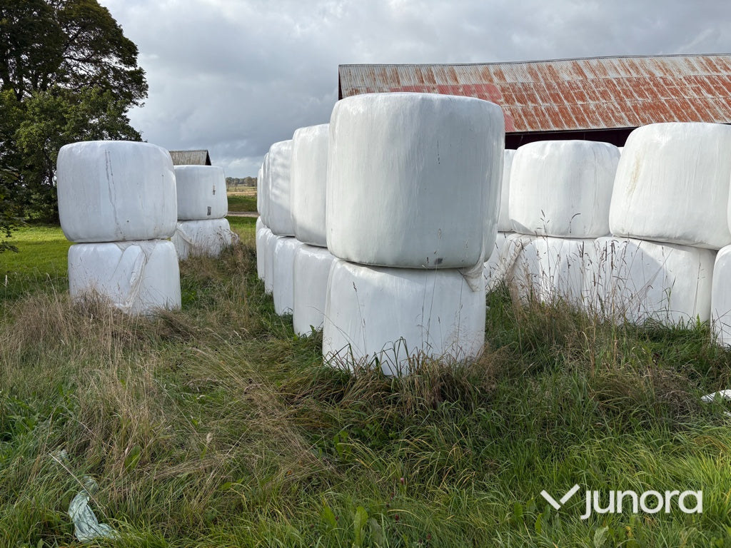 Höensilage 2024