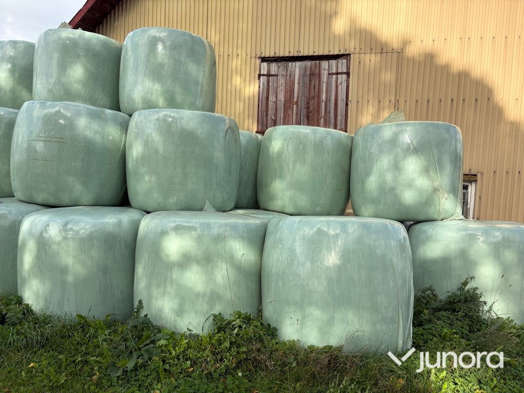 Höensilage 2024