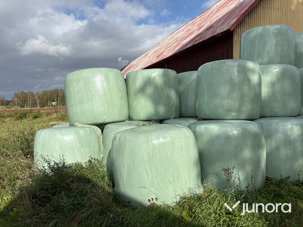 Höensilage 2024