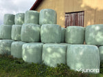 Höensilage 2024