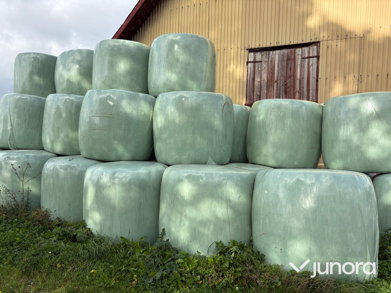 Höensilage 2024