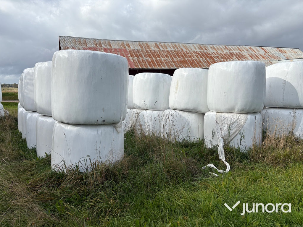 Höensilage 2024