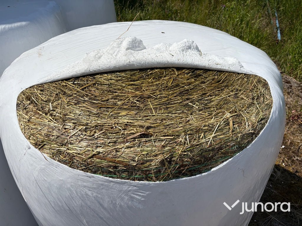 125 st ensilagebalar – 8 lager plast – Nyskördade