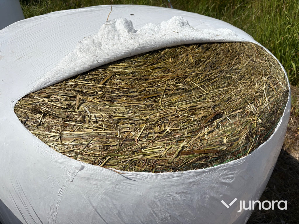 125 st ensilagebalar – 8 lager plast – Nyskördade