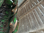 Slåtterkross Krone EasyCut B870 CV Collect