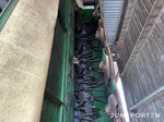 Slåtterkross Krone EasyCut B870 CV Collect