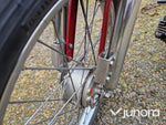 Moped Puch Maxi