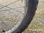 Moped Puch Maxi