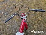 Moped Puch Maxi