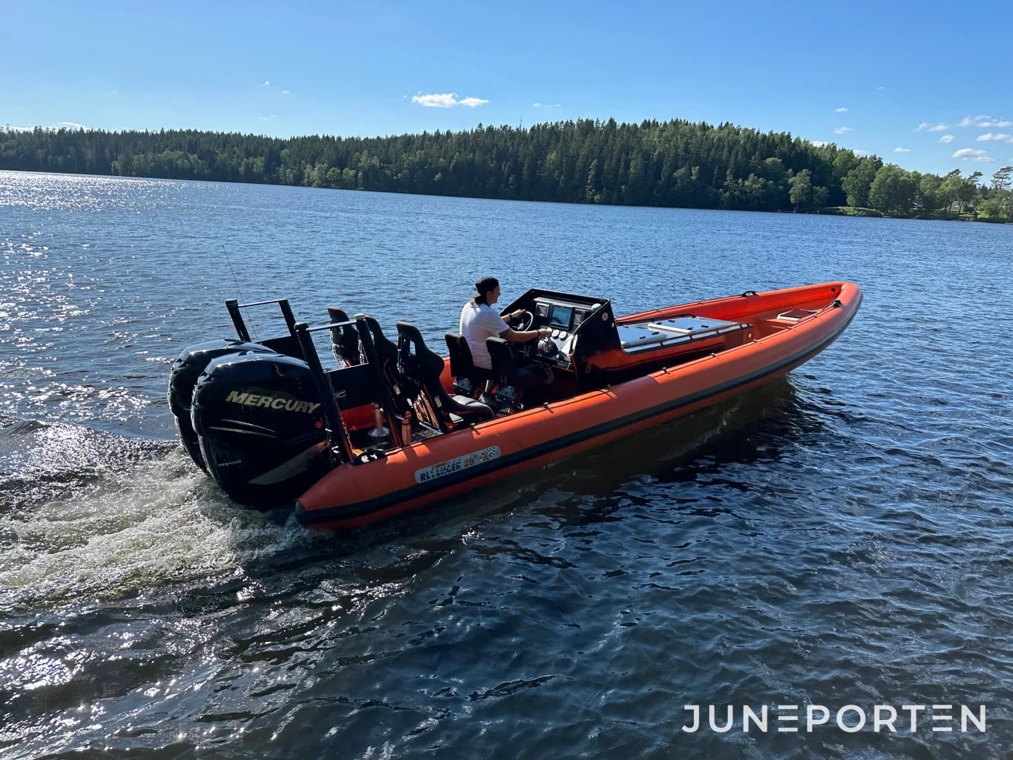 Ribbåt Revenger 29