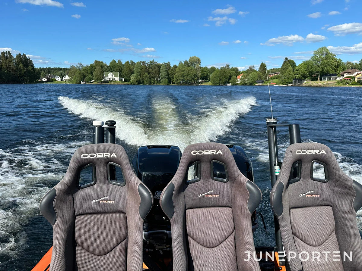 Ribbåt Revenger 29