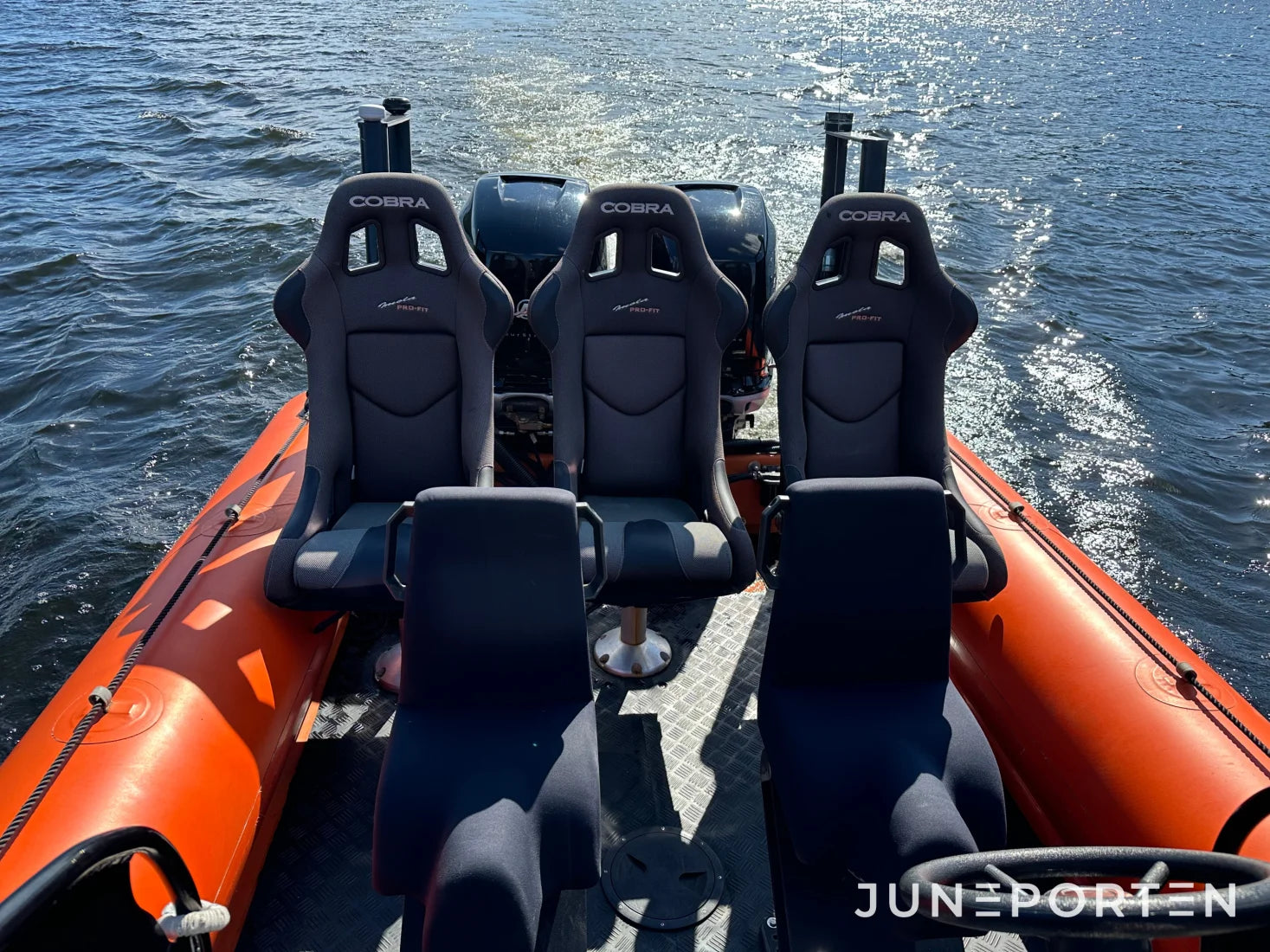 Ribbåt Revenger 29