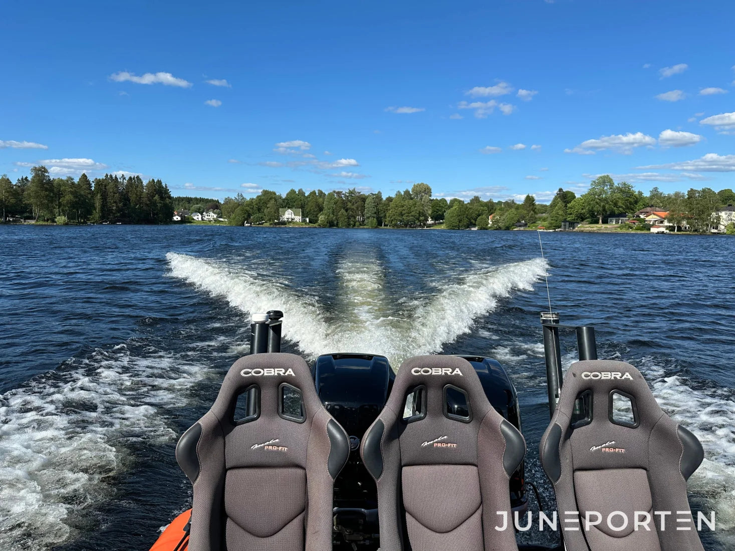 Ribbåt Revenger 29