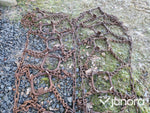 Ringkedjor / Fyrkantskedjor 18-34