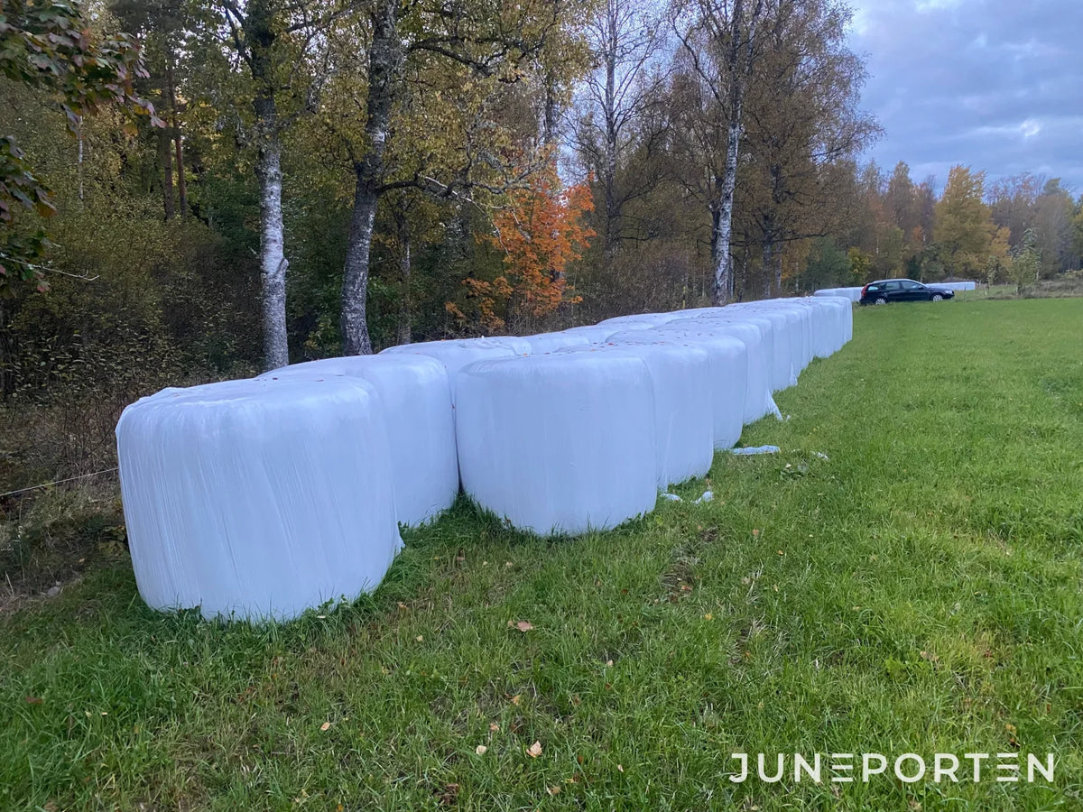 Rundbalar Helsäd 20 st