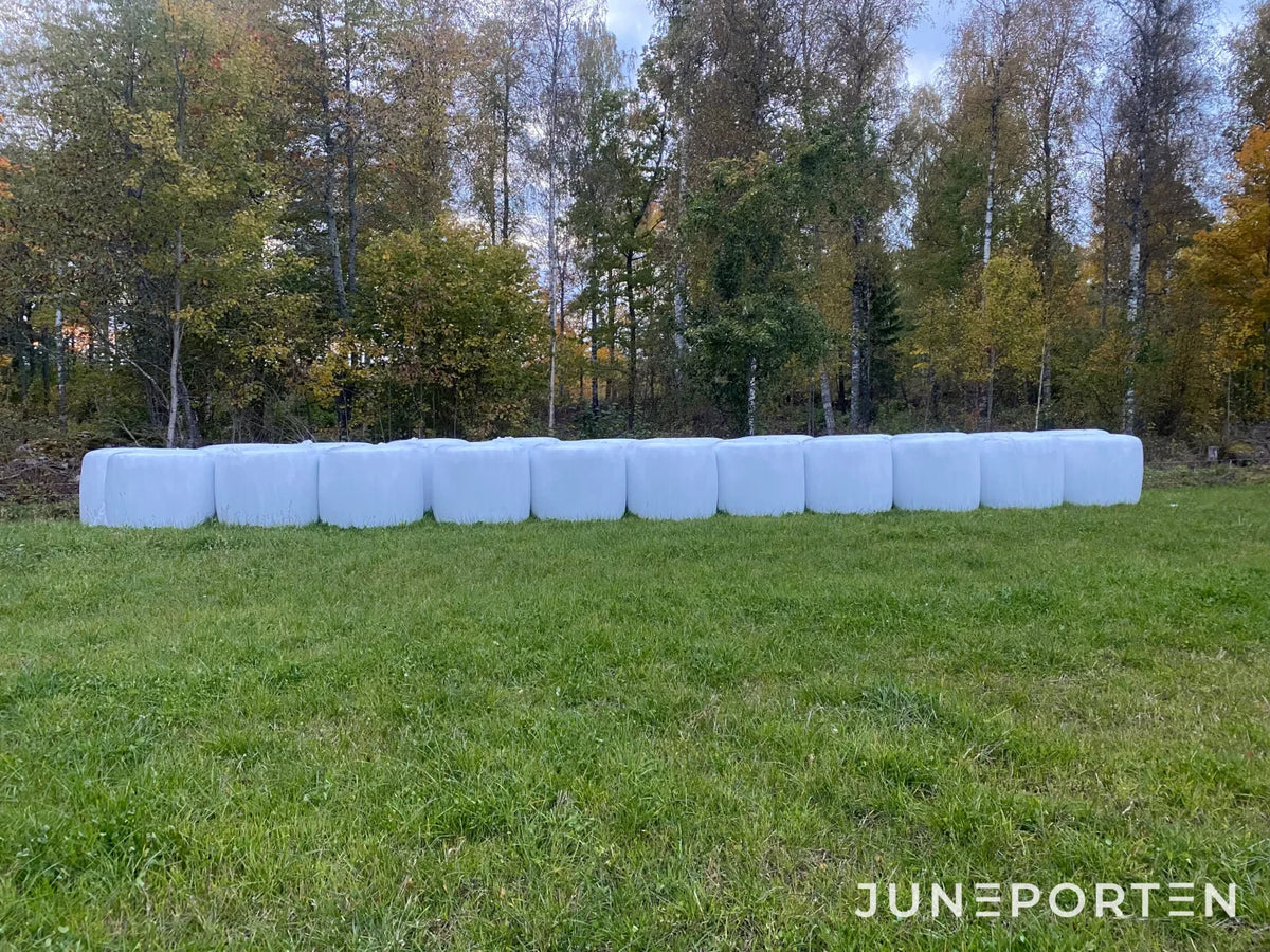 Rundbalar Helsäd 20 st