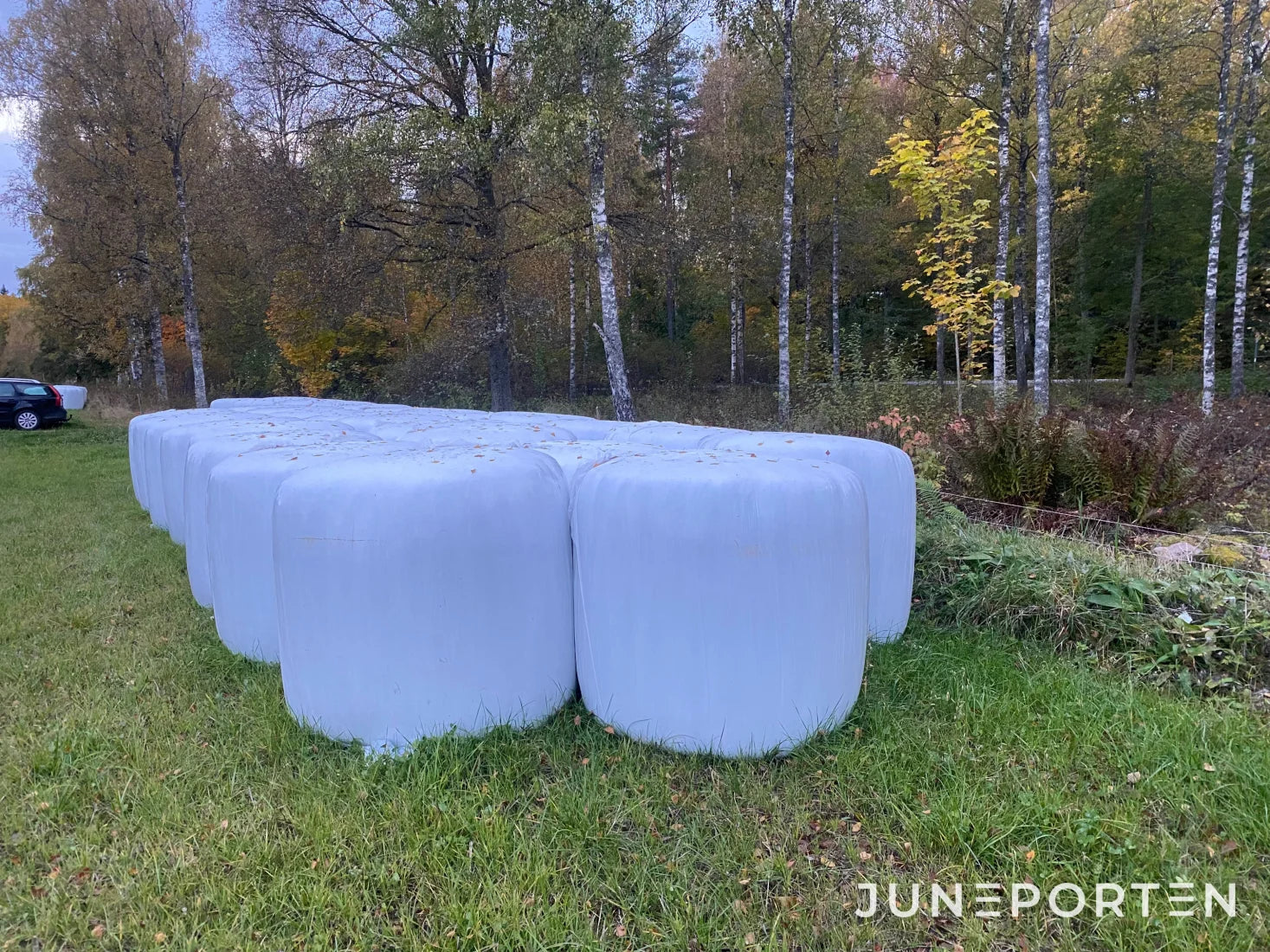 Rundbalar Helsäd 20 st