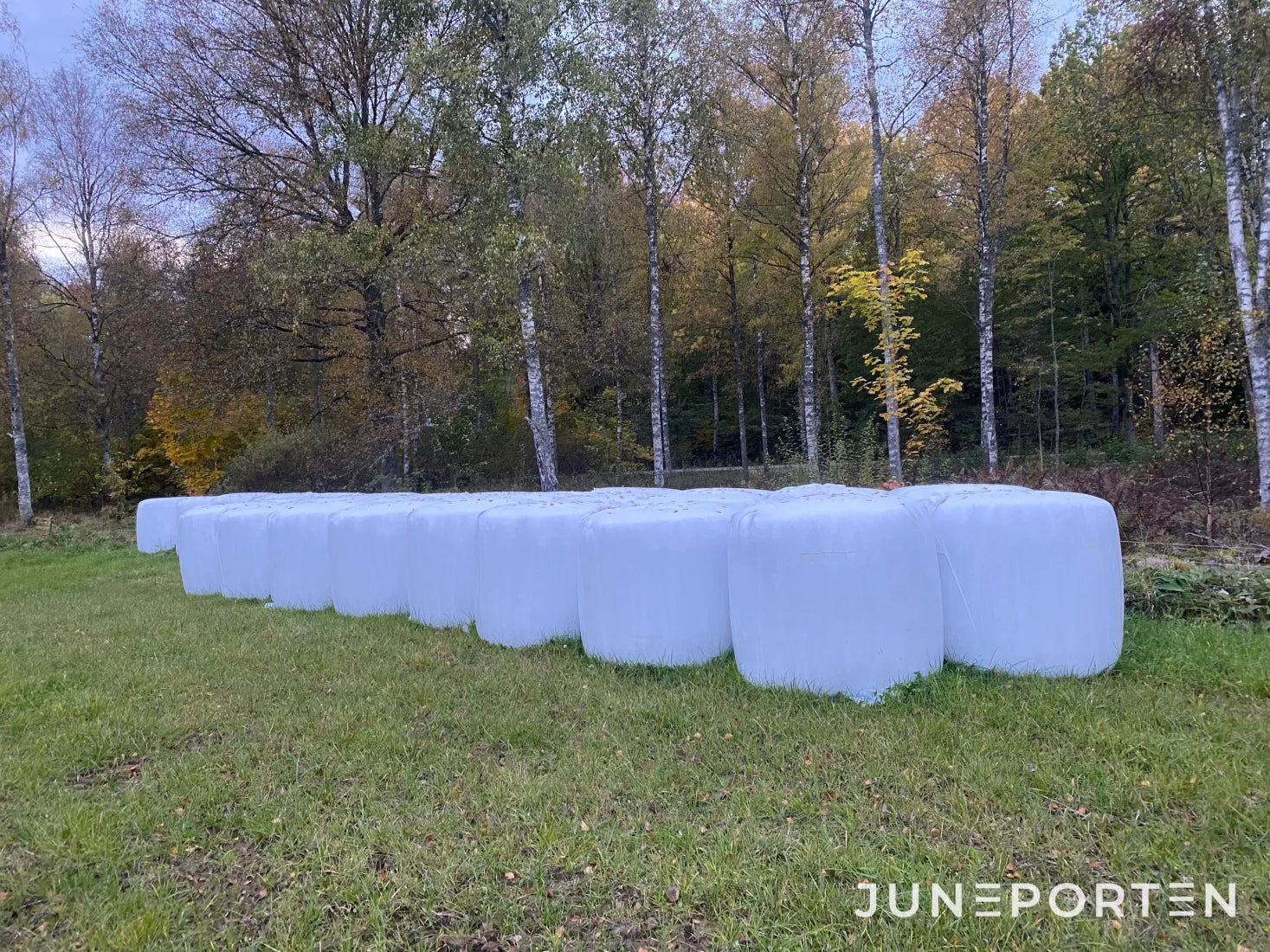Rundbalar Helsäd 20 st