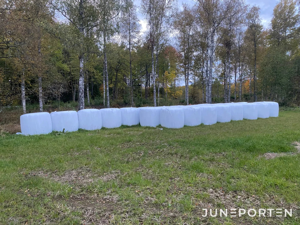Rundbalar Helsäd 20 st
