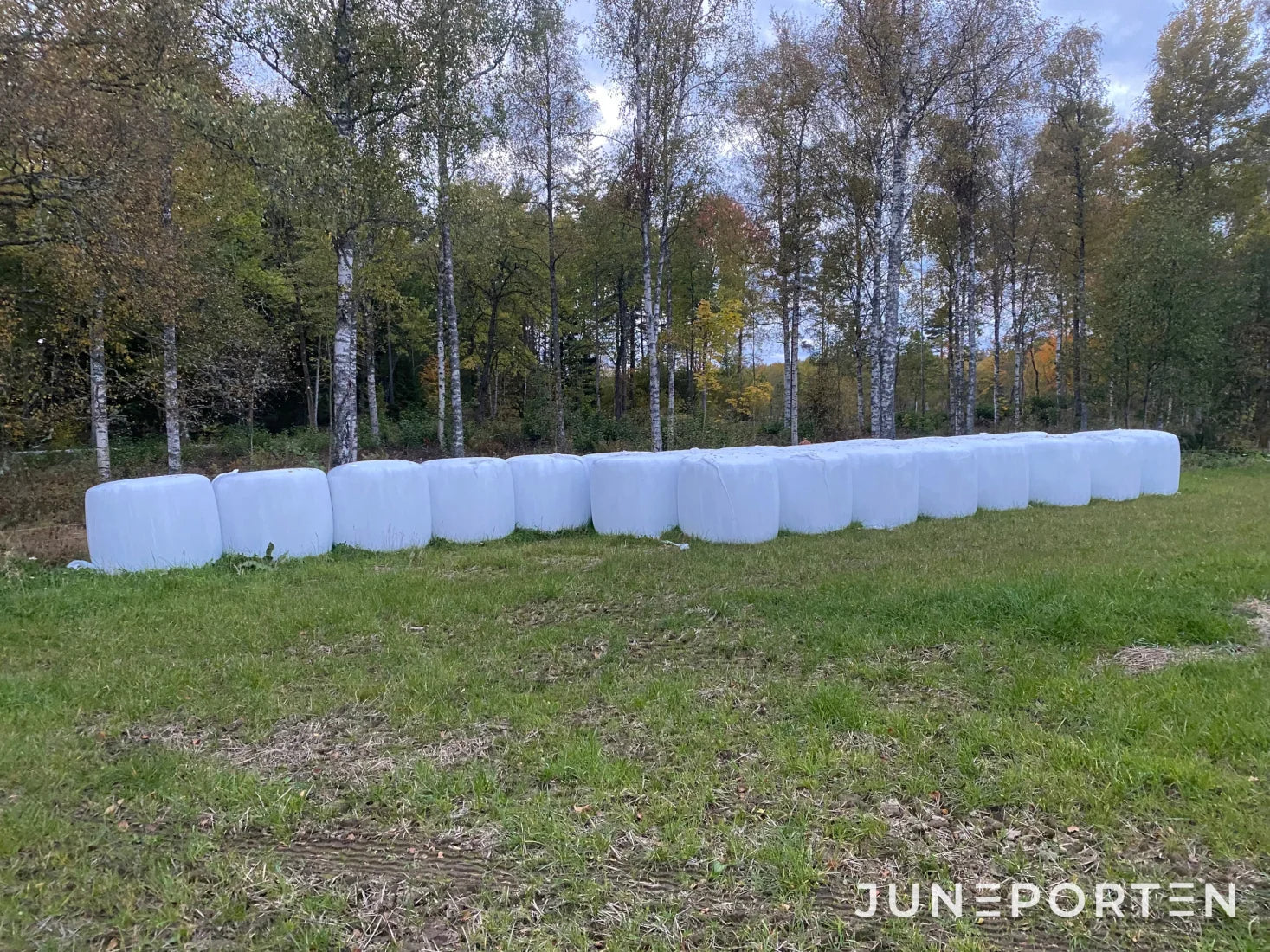Rundbalar Helsäd 20 st