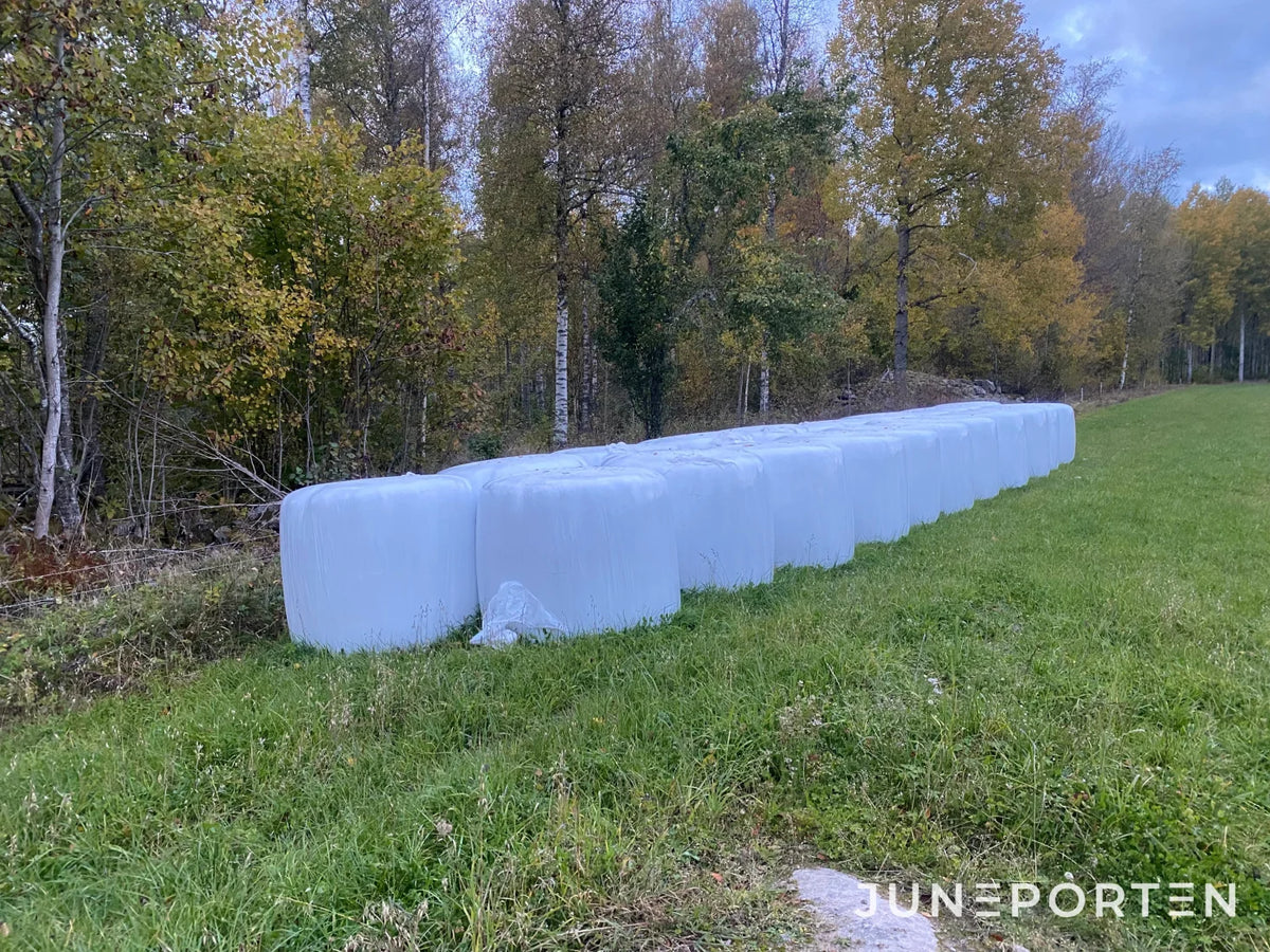 Rundbalar Helsäd 20 st