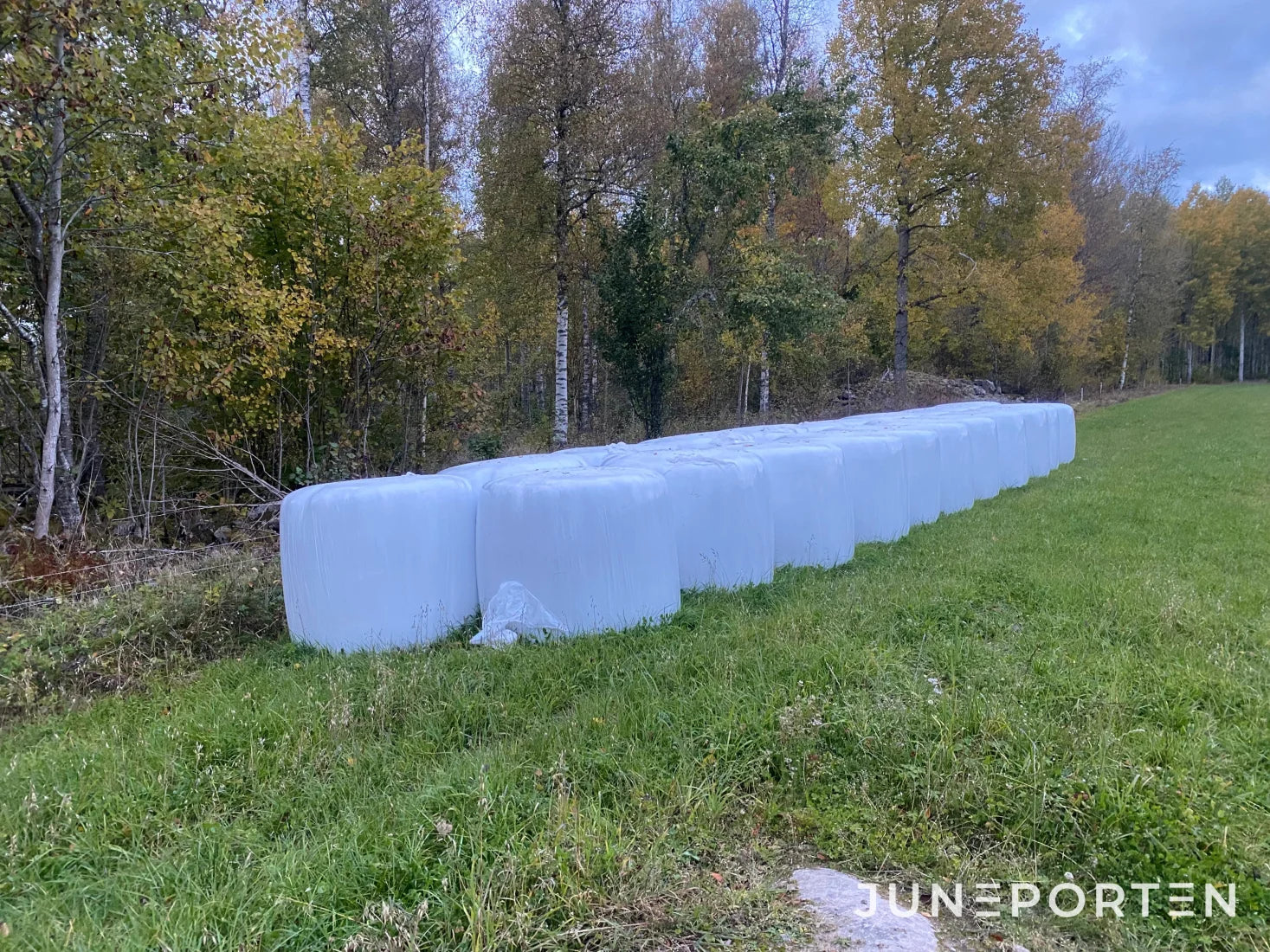 Rundbalar Helsäd 20 st