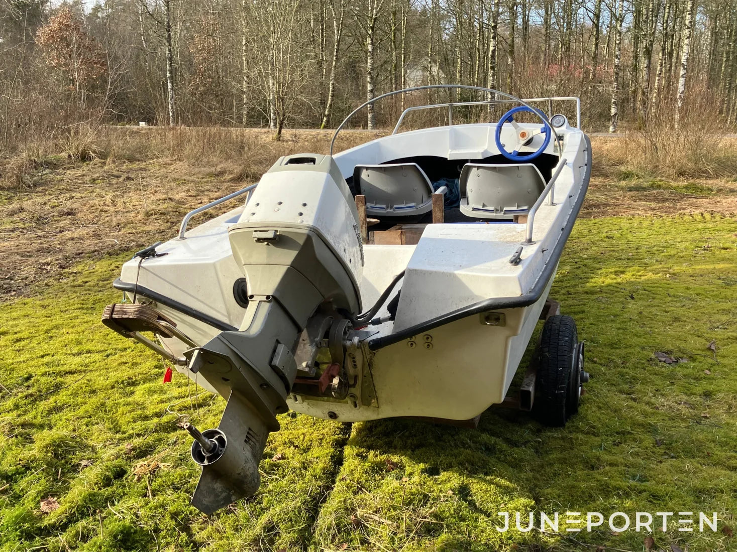 Sportbåt med Evinrude motor