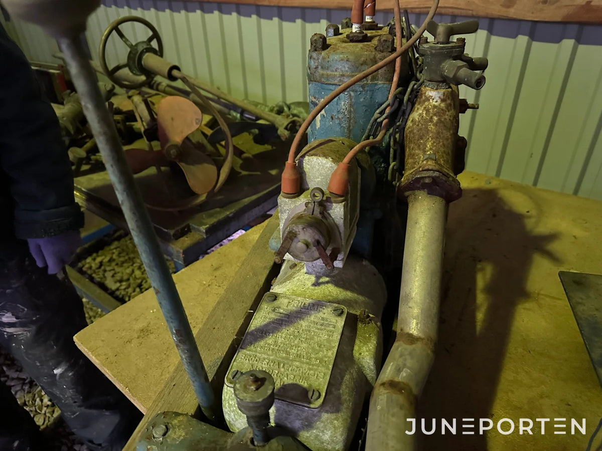 Motor Triumf A10