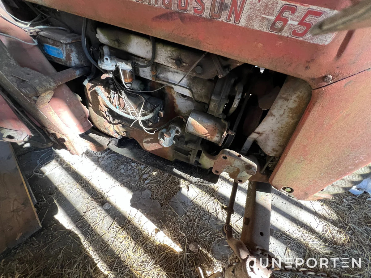 Veterantraktor Massey Ferguson 65