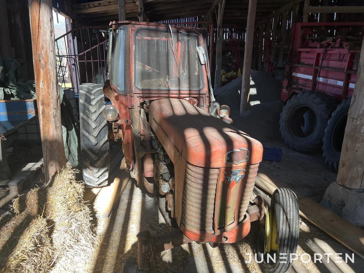 Veterantraktor Massey Ferguson 65