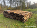 Slanor till staket
