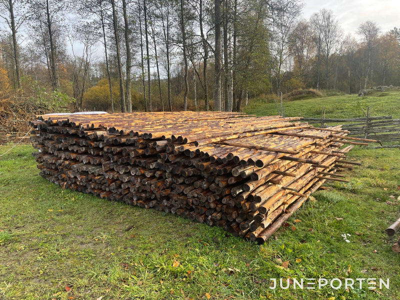 Slanor till staket