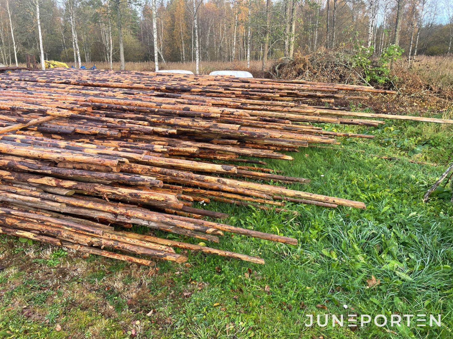 Slanor till staket